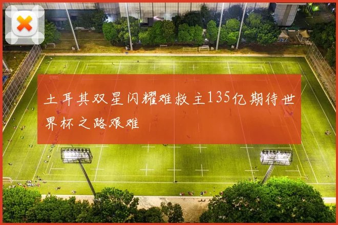 土耳其双星闪耀难救主135亿期待世界杯之路艰难