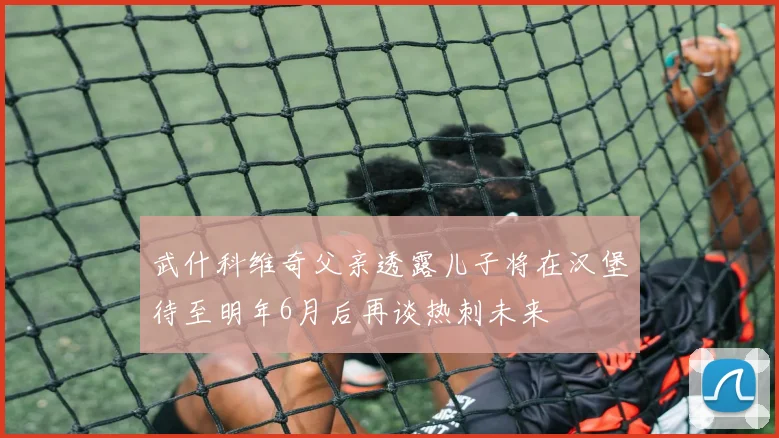 武什科维奇父亲透露儿子将在汉堡待至明年6月后再谈热刺未来