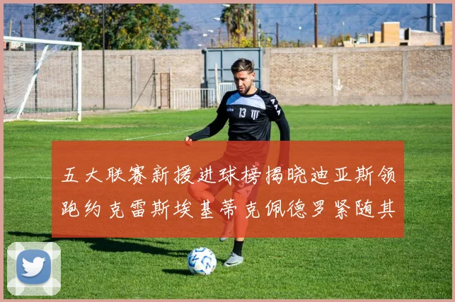 五大联赛新援进球榜揭晓迪亚斯领跑约克雷斯埃基蒂克佩德罗紧随其后