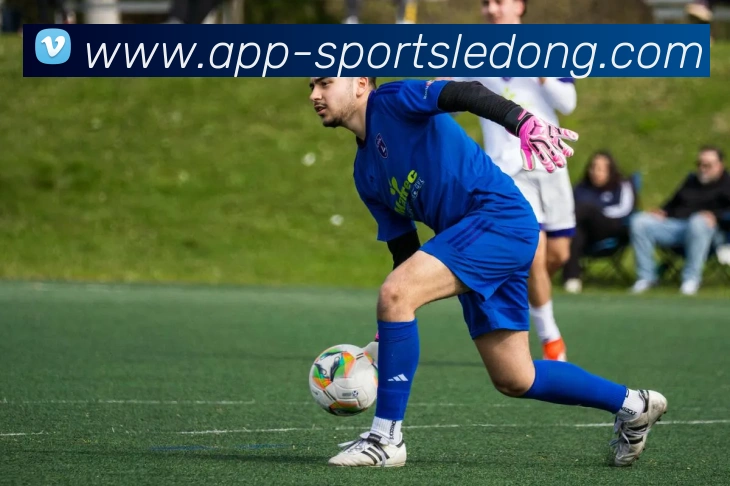 App Interface Preview